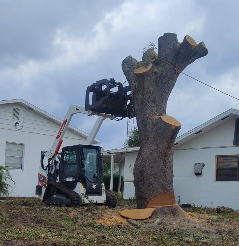 tree with branches and limbs removed, small construction vehicle